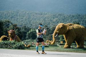 BIB: 
                            <button type="button" onclick="openModal(25931175)" class="btn btn-primary btn-sm float-right btn-popup" data-toggle="modal" data-target=".modal-high-quality">
                        <i class="fas fa-shopping-cart"></i> Add to Cart
                    </button>
                                            <button type="button" onclick="isThisMe(25931175, true)" class="btn btn-success btn-sm float-right btn-popup btn-isme hidden" data-toggle="tooltip" data-placement="bottom" title="นี่คือรูปของคุณใช่ไหม คลิกที่นี่เพื่อเอาเข้าอัลบั้ม">
                        <i class="fas fa-plus"></i> Add to album
                    </button>
                    <button type="button" onclick="isThisMe(25931175, false)" class="btn btn-warning btn-sm float-right btn-popup btn-isnotme hidden">
                        <i class="fas fa-ban"></i> Remove from album
                    </button>