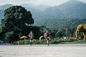 BIB: 
                            <button type="button" onclick="openModal(25872928)" class="btn btn-primary btn-sm float-right btn-popup" data-toggle="modal" data-target=".modal-high-quality">
                        <i class="fas fa-shopping-cart"></i> Add to Cart
                    </button>
                                            <button type="button" onclick="isThisMe(25872928, true)" class="btn btn-success btn-sm float-right btn-popup btn-isme hidden" data-toggle="tooltip" data-placement="bottom" title="นี่คือรูปของคุณใช่ไหม คลิกที่นี่เพื่อเอาเข้าอัลบั้ม">
                        <i class="fas fa-plus"></i> Add to album
                    </button>
                    <button type="button" onclick="isThisMe(25872928, false)" class="btn btn-warning btn-sm float-right btn-popup btn-isnotme hidden">
                        <i class="fas fa-ban"></i> Remove from album
                    </button>