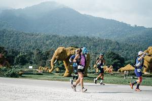 BIB: 
                            <button type="button" onclick="openModal(25897506)" class="btn btn-primary btn-sm float-right btn-popup" data-toggle="modal" data-target=".modal-high-quality">
                        <i class="fas fa-shopping-cart"></i> Add to Cart
                    </button>
                                            <button type="button" onclick="isThisMe(25897506, true)" class="btn btn-success btn-sm float-right btn-popup btn-isme hidden" data-toggle="tooltip" data-placement="bottom" title="นี่คือรูปของคุณใช่ไหม คลิกที่นี่เพื่อเอาเข้าอัลบั้ม">
                        <i class="fas fa-plus"></i> Add to album
                    </button>
                    <button type="button" onclick="isThisMe(25897506, false)" class="btn btn-warning btn-sm float-right btn-popup btn-isnotme hidden">
                        <i class="fas fa-ban"></i> Remove from album
                    </button>