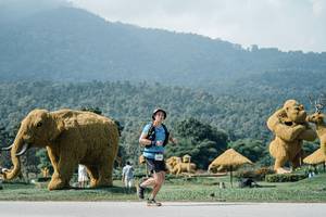 BIB: 
                            <button type="button" onclick="openModal(25930894)" class="btn btn-primary btn-sm float-right btn-popup" data-toggle="modal" data-target=".modal-high-quality">
                        <i class="fas fa-shopping-cart"></i> Add to Cart
                    </button>
                                            <button type="button" onclick="isThisMe(25930894, true)" class="btn btn-success btn-sm float-right btn-popup btn-isme hidden" data-toggle="tooltip" data-placement="bottom" title="นี่คือรูปของคุณใช่ไหม คลิกที่นี่เพื่อเอาเข้าอัลบั้ม">
                        <i class="fas fa-plus"></i> Add to album
                    </button>
                    <button type="button" onclick="isThisMe(25930894, false)" class="btn btn-warning btn-sm float-right btn-popup btn-isnotme hidden">
                        <i class="fas fa-ban"></i> Remove from album
                    </button>