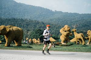 BIB: 
                            <button type="button" onclick="openModal(25872628)" class="btn btn-primary btn-sm float-right btn-popup" data-toggle="modal" data-target=".modal-high-quality">
                        <i class="fas fa-shopping-cart"></i> Add to Cart
                    </button>
                                            <button type="button" onclick="isThisMe(25872628, true)" class="btn btn-success btn-sm float-right btn-popup btn-isme hidden" data-toggle="tooltip" data-placement="bottom" title="นี่คือรูปของคุณใช่ไหม คลิกที่นี่เพื่อเอาเข้าอัลบั้ม">
                        <i class="fas fa-plus"></i> Add to album
                    </button>
                    <button type="button" onclick="isThisMe(25872628, false)" class="btn btn-warning btn-sm float-right btn-popup btn-isnotme hidden">
                        <i class="fas fa-ban"></i> Remove from album
                    </button>