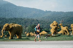 BIB: 
                            <button type="button" onclick="openModal(25872157)" class="btn btn-primary btn-sm float-right btn-popup" data-toggle="modal" data-target=".modal-high-quality">
                        <i class="fas fa-shopping-cart"></i> Add to Cart
                    </button>
                                            <button type="button" onclick="isThisMe(25872157, true)" class="btn btn-success btn-sm float-right btn-popup btn-isme hidden" data-toggle="tooltip" data-placement="bottom" title="นี่คือรูปของคุณใช่ไหม คลิกที่นี่เพื่อเอาเข้าอัลบั้ม">
                        <i class="fas fa-plus"></i> Add to album
                    </button>
                    <button type="button" onclick="isThisMe(25872157, false)" class="btn btn-warning btn-sm float-right btn-popup btn-isnotme hidden">
                        <i class="fas fa-ban"></i> Remove from album
                    </button>