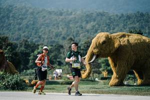 BIB: 
                            <button type="button" onclick="openModal(25911395)" class="btn btn-primary btn-sm float-right btn-popup" data-toggle="modal" data-target=".modal-high-quality">
                        <i class="fas fa-shopping-cart"></i> Add to Cart
                    </button>
                                            <button type="button" onclick="isThisMe(25911395, true)" class="btn btn-success btn-sm float-right btn-popup btn-isme hidden" data-toggle="tooltip" data-placement="bottom" title="นี่คือรูปของคุณใช่ไหม คลิกที่นี่เพื่อเอาเข้าอัลบั้ม">
                        <i class="fas fa-plus"></i> Add to album
                    </button>
                    <button type="button" onclick="isThisMe(25911395, false)" class="btn btn-warning btn-sm float-right btn-popup btn-isnotme hidden">
                        <i class="fas fa-ban"></i> Remove from album
                    </button>