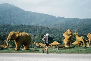 BIB: 
                            <button type="button" onclick="openModal(25872720)" class="btn btn-primary btn-sm float-right btn-popup" data-toggle="modal" data-target=".modal-high-quality">
                        <i class="fas fa-shopping-cart"></i> Add to Cart
                    </button>
                                            <button type="button" onclick="isThisMe(25872720, true)" class="btn btn-success btn-sm float-right btn-popup btn-isme hidden" data-toggle="tooltip" data-placement="bottom" title="นี่คือรูปของคุณใช่ไหม คลิกที่นี่เพื่อเอาเข้าอัลบั้ม">
                        <i class="fas fa-plus"></i> Add to album
                    </button>
                    <button type="button" onclick="isThisMe(25872720, false)" class="btn btn-warning btn-sm float-right btn-popup btn-isnotme hidden">
                        <i class="fas fa-ban"></i> Remove from album
                    </button>