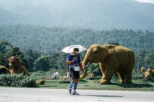 BIB: 
                            <button type="button" onclick="openModal(25983355)" class="btn btn-primary btn-sm float-right btn-popup" data-toggle="modal" data-target=".modal-high-quality">
                        <i class="fas fa-shopping-cart"></i> Add to Cart
                    </button>
                                            <button type="button" onclick="isThisMe(25983355, true)" class="btn btn-success btn-sm float-right btn-popup btn-isme hidden" data-toggle="tooltip" data-placement="bottom" title="นี่คือรูปของคุณใช่ไหม คลิกที่นี่เพื่อเอาเข้าอัลบั้ม">
                        <i class="fas fa-plus"></i> Add to album
                    </button>
                    <button type="button" onclick="isThisMe(25983355, false)" class="btn btn-warning btn-sm float-right btn-popup btn-isnotme hidden">
                        <i class="fas fa-ban"></i> Remove from album
                    </button>