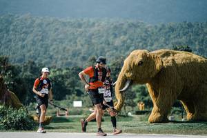 BIB: 
                            <button type="button" onclick="openModal(25923004)" class="btn btn-primary btn-sm float-right btn-popup" data-toggle="modal" data-target=".modal-high-quality">
                        <i class="fas fa-shopping-cart"></i> Add to Cart
                    </button>
                                            <button type="button" onclick="isThisMe(25923004, true)" class="btn btn-success btn-sm float-right btn-popup btn-isme hidden" data-toggle="tooltip" data-placement="bottom" title="นี่คือรูปของคุณใช่ไหม คลิกที่นี่เพื่อเอาเข้าอัลบั้ม">
                        <i class="fas fa-plus"></i> Add to album
                    </button>
                    <button type="button" onclick="isThisMe(25923004, false)" class="btn btn-warning btn-sm float-right btn-popup btn-isnotme hidden">
                        <i class="fas fa-ban"></i> Remove from album
                    </button>