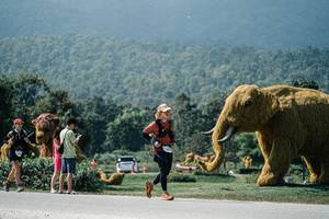 BIB: 
                            <button type="button" onclick="openModal(25954260)" class="btn btn-primary btn-sm float-right btn-popup" data-toggle="modal" data-target=".modal-high-quality">
                        <i class="fas fa-shopping-cart"></i> Add to Cart
                    </button>
                                            <button type="button" onclick="isThisMe(25954260, true)" class="btn btn-success btn-sm float-right btn-popup btn-isme hidden" data-toggle="tooltip" data-placement="bottom" title="นี่คือรูปของคุณใช่ไหม คลิกที่นี่เพื่อเอาเข้าอัลบั้ม">
                        <i class="fas fa-plus"></i> Add to album
                    </button>
                    <button type="button" onclick="isThisMe(25954260, false)" class="btn btn-warning btn-sm float-right btn-popup btn-isnotme hidden">
                        <i class="fas fa-ban"></i> Remove from album
                    </button>