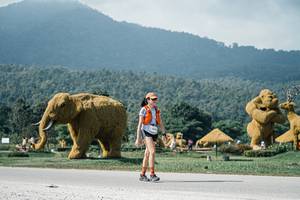 BIB: 
                            <button type="button" onclick="openModal(25922107)" class="btn btn-primary btn-sm float-right btn-popup" data-toggle="modal" data-target=".modal-high-quality">
                        <i class="fas fa-shopping-cart"></i> Add to Cart
                    </button>
                                            <button type="button" onclick="isThisMe(25922107, true)" class="btn btn-success btn-sm float-right btn-popup btn-isme hidden" data-toggle="tooltip" data-placement="bottom" title="นี่คือรูปของคุณใช่ไหม คลิกที่นี่เพื่อเอาเข้าอัลบั้ม">
                        <i class="fas fa-plus"></i> Add to album
                    </button>
                    <button type="button" onclick="isThisMe(25922107, false)" class="btn btn-warning btn-sm float-right btn-popup btn-isnotme hidden">
                        <i class="fas fa-ban"></i> Remove from album
                    </button>