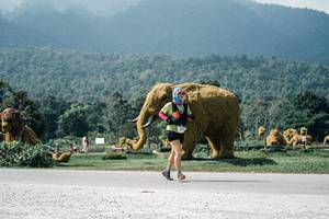 BIB: 
                            <button type="button" onclick="openModal(25949381)" class="btn btn-primary btn-sm float-right btn-popup" data-toggle="modal" data-target=".modal-high-quality">
                        <i class="fas fa-shopping-cart"></i> Add to Cart
                    </button>
                                            <button type="button" onclick="isThisMe(25949381, true)" class="btn btn-success btn-sm float-right btn-popup btn-isme hidden" data-toggle="tooltip" data-placement="bottom" title="นี่คือรูปของคุณใช่ไหม คลิกที่นี่เพื่อเอาเข้าอัลบั้ม">
                        <i class="fas fa-plus"></i> Add to album
                    </button>
                    <button type="button" onclick="isThisMe(25949381, false)" class="btn btn-warning btn-sm float-right btn-popup btn-isnotme hidden">
                        <i class="fas fa-ban"></i> Remove from album
                    </button>