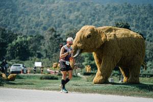 BIB: 
                            <button type="button" onclick="openModal(25934689)" class="btn btn-primary btn-sm float-right btn-popup" data-toggle="modal" data-target=".modal-high-quality">
                        <i class="fas fa-shopping-cart"></i> Add to Cart
                    </button>
                                            <button type="button" onclick="isThisMe(25934689, true)" class="btn btn-success btn-sm float-right btn-popup btn-isme hidden" data-toggle="tooltip" data-placement="bottom" title="นี่คือรูปของคุณใช่ไหม คลิกที่นี่เพื่อเอาเข้าอัลบั้ม">
                        <i class="fas fa-plus"></i> Add to album
                    </button>
                    <button type="button" onclick="isThisMe(25934689, false)" class="btn btn-warning btn-sm float-right btn-popup btn-isnotme hidden">
                        <i class="fas fa-ban"></i> Remove from album
                    </button>