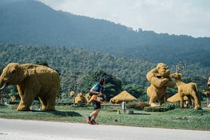 BIB: 
                            <button type="button" onclick="openModal(25935248)" class="btn btn-primary btn-sm float-right btn-popup" data-toggle="modal" data-target=".modal-high-quality">
                        <i class="fas fa-shopping-cart"></i> Add to Cart
                    </button>
                                            <button type="button" onclick="isThisMe(25935248, true)" class="btn btn-success btn-sm float-right btn-popup btn-isme hidden" data-toggle="tooltip" data-placement="bottom" title="นี่คือรูปของคุณใช่ไหม คลิกที่นี่เพื่อเอาเข้าอัลบั้ม">
                        <i class="fas fa-plus"></i> Add to album
                    </button>
                    <button type="button" onclick="isThisMe(25935248, false)" class="btn btn-warning btn-sm float-right btn-popup btn-isnotme hidden">
                        <i class="fas fa-ban"></i> Remove from album
                    </button>