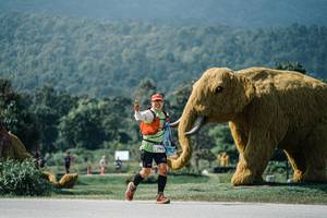 BIB: 
                            <button type="button" onclick="openModal(25942077)" class="btn btn-primary btn-sm float-right btn-popup" data-toggle="modal" data-target=".modal-high-quality">
                        <i class="fas fa-shopping-cart"></i> Add to Cart
                    </button>
                                            <button type="button" onclick="isThisMe(25942077, true)" class="btn btn-success btn-sm float-right btn-popup btn-isme hidden" data-toggle="tooltip" data-placement="bottom" title="นี่คือรูปของคุณใช่ไหม คลิกที่นี่เพื่อเอาเข้าอัลบั้ม">
                        <i class="fas fa-plus"></i> Add to album
                    </button>
                    <button type="button" onclick="isThisMe(25942077, false)" class="btn btn-warning btn-sm float-right btn-popup btn-isnotme hidden">
                        <i class="fas fa-ban"></i> Remove from album
                    </button>