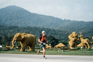 BIB: 
                            <button type="button" onclick="openModal(25871325)" class="btn btn-primary btn-sm float-right btn-popup" data-toggle="modal" data-target=".modal-high-quality">
                        <i class="fas fa-shopping-cart"></i> Add to Cart
                    </button>
                                            <button type="button" onclick="isThisMe(25871325, true)" class="btn btn-success btn-sm float-right btn-popup btn-isme hidden" data-toggle="tooltip" data-placement="bottom" title="นี่คือรูปของคุณใช่ไหม คลิกที่นี่เพื่อเอาเข้าอัลบั้ม">
                        <i class="fas fa-plus"></i> Add to album
                    </button>
                    <button type="button" onclick="isThisMe(25871325, false)" class="btn btn-warning btn-sm float-right btn-popup btn-isnotme hidden">
                        <i class="fas fa-ban"></i> Remove from album
                    </button>