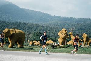 BIB: 
                            <button type="button" onclick="openModal(25877430)" class="btn btn-primary btn-sm float-right btn-popup" data-toggle="modal" data-target=".modal-high-quality">
                        <i class="fas fa-shopping-cart"></i> Add to Cart
                    </button>
                                            <button type="button" onclick="isThisMe(25877430, true)" class="btn btn-success btn-sm float-right btn-popup btn-isme hidden" data-toggle="tooltip" data-placement="bottom" title="นี่คือรูปของคุณใช่ไหม คลิกที่นี่เพื่อเอาเข้าอัลบั้ม">
                        <i class="fas fa-plus"></i> Add to album
                    </button>
                    <button type="button" onclick="isThisMe(25877430, false)" class="btn btn-warning btn-sm float-right btn-popup btn-isnotme hidden">
                        <i class="fas fa-ban"></i> Remove from album
                    </button>