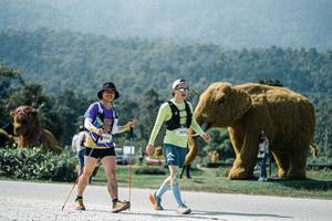 BIB: 
                            <button type="button" onclick="openModal(25970758)" class="btn btn-primary btn-sm float-right btn-popup" data-toggle="modal" data-target=".modal-high-quality">
                        <i class="fas fa-shopping-cart"></i> Add to Cart
                    </button>
                                            <button type="button" onclick="isThisMe(25970758, true)" class="btn btn-success btn-sm float-right btn-popup btn-isme hidden" data-toggle="tooltip" data-placement="bottom" title="นี่คือรูปของคุณใช่ไหม คลิกที่นี่เพื่อเอาเข้าอัลบั้ม">
                        <i class="fas fa-plus"></i> Add to album
                    </button>
                    <button type="button" onclick="isThisMe(25970758, false)" class="btn btn-warning btn-sm float-right btn-popup btn-isnotme hidden">
                        <i class="fas fa-ban"></i> Remove from album
                    </button>