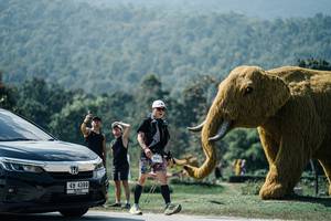 BIB: 
                            <button type="button" onclick="openModal(25981336)" class="btn btn-primary btn-sm float-right btn-popup" data-toggle="modal" data-target=".modal-high-quality">
                        <i class="fas fa-shopping-cart"></i> Add to Cart
                    </button>
                                            <button type="button" onclick="isThisMe(25981336, true)" class="btn btn-success btn-sm float-right btn-popup btn-isme hidden" data-toggle="tooltip" data-placement="bottom" title="นี่คือรูปของคุณใช่ไหม คลิกที่นี่เพื่อเอาเข้าอัลบั้ม">
                        <i class="fas fa-plus"></i> Add to album
                    </button>
                    <button type="button" onclick="isThisMe(25981336, false)" class="btn btn-warning btn-sm float-right btn-popup btn-isnotme hidden">
                        <i class="fas fa-ban"></i> Remove from album
                    </button>