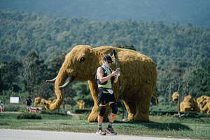 BIB: 
                            <button type="button" onclick="openModal(25931696)" class="btn btn-primary btn-sm float-right btn-popup" data-toggle="modal" data-target=".modal-high-quality">
                        <i class="fas fa-shopping-cart"></i> Add to Cart
                    </button>
                                            <button type="button" onclick="isThisMe(25931696, true)" class="btn btn-success btn-sm float-right btn-popup btn-isme hidden" data-toggle="tooltip" data-placement="bottom" title="นี่คือรูปของคุณใช่ไหม คลิกที่นี่เพื่อเอาเข้าอัลบั้ม">
                        <i class="fas fa-plus"></i> Add to album
                    </button>
                    <button type="button" onclick="isThisMe(25931696, false)" class="btn btn-warning btn-sm float-right btn-popup btn-isnotme hidden">
                        <i class="fas fa-ban"></i> Remove from album
                    </button>