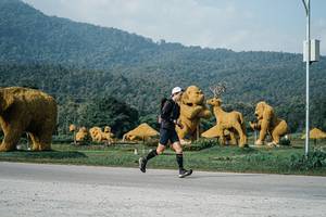 BIB: 
                            <button type="button" onclick="openModal(25870474)" class="btn btn-primary btn-sm float-right btn-popup" data-toggle="modal" data-target=".modal-high-quality">
                        <i class="fas fa-shopping-cart"></i> Add to Cart
                    </button>
                                            <button type="button" onclick="isThisMe(25870474, true)" class="btn btn-success btn-sm float-right btn-popup btn-isme hidden" data-toggle="tooltip" data-placement="bottom" title="นี่คือรูปของคุณใช่ไหม คลิกที่นี่เพื่อเอาเข้าอัลบั้ม">
                        <i class="fas fa-plus"></i> Add to album
                    </button>
                    <button type="button" onclick="isThisMe(25870474, false)" class="btn btn-warning btn-sm float-right btn-popup btn-isnotme hidden">
                        <i class="fas fa-ban"></i> Remove from album
                    </button>