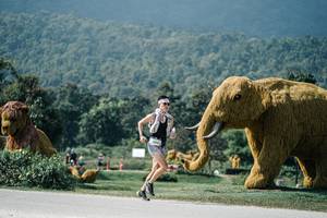 BIB: 
                            <button type="button" onclick="openModal(25935740)" class="btn btn-primary btn-sm float-right btn-popup" data-toggle="modal" data-target=".modal-high-quality">
                        <i class="fas fa-shopping-cart"></i> Add to Cart
                    </button>
                                            <button type="button" onclick="isThisMe(25935740, true)" class="btn btn-success btn-sm float-right btn-popup btn-isme hidden" data-toggle="tooltip" data-placement="bottom" title="นี่คือรูปของคุณใช่ไหม คลิกที่นี่เพื่อเอาเข้าอัลบั้ม">
                        <i class="fas fa-plus"></i> Add to album
                    </button>
                    <button type="button" onclick="isThisMe(25935740, false)" class="btn btn-warning btn-sm float-right btn-popup btn-isnotme hidden">
                        <i class="fas fa-ban"></i> Remove from album
                    </button>