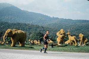 BIB: 
                            <button type="button" onclick="openModal(25876530)" class="btn btn-primary btn-sm float-right btn-popup" data-toggle="modal" data-target=".modal-high-quality">
                        <i class="fas fa-shopping-cart"></i> Add to Cart
                    </button>
                                            <button type="button" onclick="isThisMe(25876530, true)" class="btn btn-success btn-sm float-right btn-popup btn-isme hidden" data-toggle="tooltip" data-placement="bottom" title="นี่คือรูปของคุณใช่ไหม คลิกที่นี่เพื่อเอาเข้าอัลบั้ม">
                        <i class="fas fa-plus"></i> Add to album
                    </button>
                    <button type="button" onclick="isThisMe(25876530, false)" class="btn btn-warning btn-sm float-right btn-popup btn-isnotme hidden">
                        <i class="fas fa-ban"></i> Remove from album
                    </button>