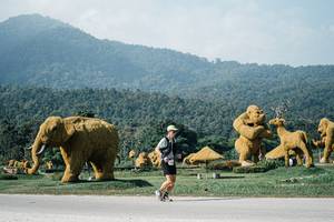 BIB: 
                            <button type="button" onclick="openModal(25885420)" class="btn btn-primary btn-sm float-right btn-popup" data-toggle="modal" data-target=".modal-high-quality">
                        <i class="fas fa-shopping-cart"></i> Add to Cart
                    </button>
                                            <button type="button" onclick="isThisMe(25885420, true)" class="btn btn-success btn-sm float-right btn-popup btn-isme hidden" data-toggle="tooltip" data-placement="bottom" title="นี่คือรูปของคุณใช่ไหม คลิกที่นี่เพื่อเอาเข้าอัลบั้ม">
                        <i class="fas fa-plus"></i> Add to album
                    </button>
                    <button type="button" onclick="isThisMe(25885420, false)" class="btn btn-warning btn-sm float-right btn-popup btn-isnotme hidden">
                        <i class="fas fa-ban"></i> Remove from album
                    </button>