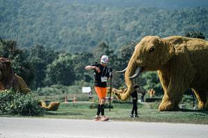 BIB: 
                            <button type="button" onclick="openModal(25952768)" class="btn btn-primary btn-sm float-right btn-popup" data-toggle="modal" data-target=".modal-high-quality">
                        <i class="fas fa-shopping-cart"></i> Add to Cart
                    </button>
                                            <button type="button" onclick="isThisMe(25952768, true)" class="btn btn-success btn-sm float-right btn-popup btn-isme hidden" data-toggle="tooltip" data-placement="bottom" title="นี่คือรูปของคุณใช่ไหม คลิกที่นี่เพื่อเอาเข้าอัลบั้ม">
                        <i class="fas fa-plus"></i> Add to album
                    </button>
                    <button type="button" onclick="isThisMe(25952768, false)" class="btn btn-warning btn-sm float-right btn-popup btn-isnotme hidden">
                        <i class="fas fa-ban"></i> Remove from album
                    </button>