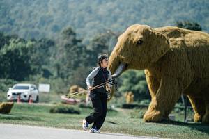 BIB: 
                            <button type="button" onclick="openModal(25978150)" class="btn btn-primary btn-sm float-right btn-popup" data-toggle="modal" data-target=".modal-high-quality">
                        <i class="fas fa-shopping-cart"></i> Add to Cart
                    </button>
                                            <button type="button" onclick="isThisMe(25978150, true)" class="btn btn-success btn-sm float-right btn-popup btn-isme hidden" data-toggle="tooltip" data-placement="bottom" title="นี่คือรูปของคุณใช่ไหม คลิกที่นี่เพื่อเอาเข้าอัลบั้ม">
                        <i class="fas fa-plus"></i> Add to album
                    </button>
                    <button type="button" onclick="isThisMe(25978150, false)" class="btn btn-warning btn-sm float-right btn-popup btn-isnotme hidden">
                        <i class="fas fa-ban"></i> Remove from album
                    </button>