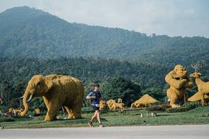 BIB: 
                            <button type="button" onclick="openModal(25871058)" class="btn btn-primary btn-sm float-right btn-popup" data-toggle="modal" data-target=".modal-high-quality">
                        <i class="fas fa-shopping-cart"></i> Add to Cart
                    </button>
                                            <button type="button" onclick="isThisMe(25871058, true)" class="btn btn-success btn-sm float-right btn-popup btn-isme hidden" data-toggle="tooltip" data-placement="bottom" title="นี่คือรูปของคุณใช่ไหม คลิกที่นี่เพื่อเอาเข้าอัลบั้ม">
                        <i class="fas fa-plus"></i> Add to album
                    </button>
                    <button type="button" onclick="isThisMe(25871058, false)" class="btn btn-warning btn-sm float-right btn-popup btn-isnotme hidden">
                        <i class="fas fa-ban"></i> Remove from album
                    </button>