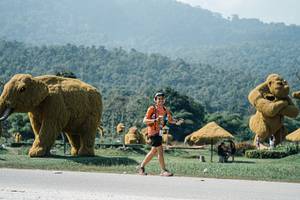 BIB: 
                            <button type="button" onclick="openModal(25973527)" class="btn btn-primary btn-sm float-right btn-popup" data-toggle="modal" data-target=".modal-high-quality">
                        <i class="fas fa-shopping-cart"></i> Add to Cart
                    </button>
                                            <button type="button" onclick="isThisMe(25973527, true)" class="btn btn-success btn-sm float-right btn-popup btn-isme hidden" data-toggle="tooltip" data-placement="bottom" title="นี่คือรูปของคุณใช่ไหม คลิกที่นี่เพื่อเอาเข้าอัลบั้ม">
                        <i class="fas fa-plus"></i> Add to album
                    </button>
                    <button type="button" onclick="isThisMe(25973527, false)" class="btn btn-warning btn-sm float-right btn-popup btn-isnotme hidden">
                        <i class="fas fa-ban"></i> Remove from album
                    </button>