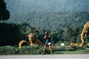 BIB: 
                            <button type="button" onclick="openModal(25872386)" class="btn btn-primary btn-sm float-right btn-popup" data-toggle="modal" data-target=".modal-high-quality">
                        <i class="fas fa-shopping-cart"></i> Add to Cart
                    </button>
                                            <button type="button" onclick="isThisMe(25872386, true)" class="btn btn-success btn-sm float-right btn-popup btn-isme hidden" data-toggle="tooltip" data-placement="bottom" title="นี่คือรูปของคุณใช่ไหม คลิกที่นี่เพื่อเอาเข้าอัลบั้ม">
                        <i class="fas fa-plus"></i> Add to album
                    </button>
                    <button type="button" onclick="isThisMe(25872386, false)" class="btn btn-warning btn-sm float-right btn-popup btn-isnotme hidden">
                        <i class="fas fa-ban"></i> Remove from album
                    </button>