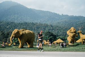 BIB: 
                            <button type="button" onclick="openModal(25878334)" class="btn btn-primary btn-sm float-right btn-popup" data-toggle="modal" data-target=".modal-high-quality">
                        <i class="fas fa-shopping-cart"></i> Add to Cart
                    </button>
                                            <button type="button" onclick="isThisMe(25878334, true)" class="btn btn-success btn-sm float-right btn-popup btn-isme hidden" data-toggle="tooltip" data-placement="bottom" title="นี่คือรูปของคุณใช่ไหม คลิกที่นี่เพื่อเอาเข้าอัลบั้ม">
                        <i class="fas fa-plus"></i> Add to album
                    </button>
                    <button type="button" onclick="isThisMe(25878334, false)" class="btn btn-warning btn-sm float-right btn-popup btn-isnotme hidden">
                        <i class="fas fa-ban"></i> Remove from album
                    </button>