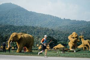 BIB: 
                            <button type="button" onclick="openModal(25871375)" class="btn btn-primary btn-sm float-right btn-popup" data-toggle="modal" data-target=".modal-high-quality">
                        <i class="fas fa-shopping-cart"></i> Add to Cart
                    </button>
                                            <button type="button" onclick="isThisMe(25871375, true)" class="btn btn-success btn-sm float-right btn-popup btn-isme hidden" data-toggle="tooltip" data-placement="bottom" title="นี่คือรูปของคุณใช่ไหม คลิกที่นี่เพื่อเอาเข้าอัลบั้ม">
                        <i class="fas fa-plus"></i> Add to album
                    </button>
                    <button type="button" onclick="isThisMe(25871375, false)" class="btn btn-warning btn-sm float-right btn-popup btn-isnotme hidden">
                        <i class="fas fa-ban"></i> Remove from album
                    </button>