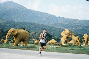 BIB: 
                            <button type="button" onclick="openModal(25869958)" class="btn btn-primary btn-sm float-right btn-popup" data-toggle="modal" data-target=".modal-high-quality">
                        <i class="fas fa-shopping-cart"></i> Add to Cart
                    </button>
                                            <button type="button" onclick="isThisMe(25869958, true)" class="btn btn-success btn-sm float-right btn-popup btn-isme hidden" data-toggle="tooltip" data-placement="bottom" title="นี่คือรูปของคุณใช่ไหม คลิกที่นี่เพื่อเอาเข้าอัลบั้ม">
                        <i class="fas fa-plus"></i> Add to album
                    </button>
                    <button type="button" onclick="isThisMe(25869958, false)" class="btn btn-warning btn-sm float-right btn-popup btn-isnotme hidden">
                        <i class="fas fa-ban"></i> Remove from album
                    </button>