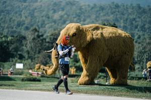 BIB: 
                            <button type="button" onclick="openModal(25920353)" class="btn btn-primary btn-sm float-right btn-popup" data-toggle="modal" data-target=".modal-high-quality">
                        <i class="fas fa-shopping-cart"></i> Add to Cart
                    </button>
                                            <button type="button" onclick="isThisMe(25920353, true)" class="btn btn-success btn-sm float-right btn-popup btn-isme hidden" data-toggle="tooltip" data-placement="bottom" title="นี่คือรูปของคุณใช่ไหม คลิกที่นี่เพื่อเอาเข้าอัลบั้ม">
                        <i class="fas fa-plus"></i> Add to album
                    </button>
                    <button type="button" onclick="isThisMe(25920353, false)" class="btn btn-warning btn-sm float-right btn-popup btn-isnotme hidden">
                        <i class="fas fa-ban"></i> Remove from album
                    </button>