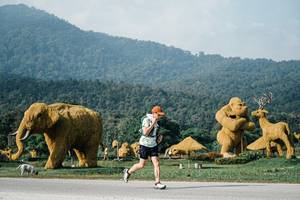 BIB: 
                            <button type="button" onclick="openModal(25871005)" class="btn btn-primary btn-sm float-right btn-popup" data-toggle="modal" data-target=".modal-high-quality">
                        <i class="fas fa-shopping-cart"></i> Add to Cart
                    </button>
                                            <button type="button" onclick="isThisMe(25871005, true)" class="btn btn-success btn-sm float-right btn-popup btn-isme hidden" data-toggle="tooltip" data-placement="bottom" title="นี่คือรูปของคุณใช่ไหม คลิกที่นี่เพื่อเอาเข้าอัลบั้ม">
                        <i class="fas fa-plus"></i> Add to album
                    </button>
                    <button type="button" onclick="isThisMe(25871005, false)" class="btn btn-warning btn-sm float-right btn-popup btn-isnotme hidden">
                        <i class="fas fa-ban"></i> Remove from album
                    </button>