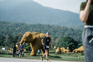 BIB: 
                            <button type="button" onclick="openModal(25891414)" class="btn btn-primary btn-sm float-right btn-popup" data-toggle="modal" data-target=".modal-high-quality">
                        <i class="fas fa-shopping-cart"></i> Add to Cart
                    </button>
                                            <button type="button" onclick="isThisMe(25891414, true)" class="btn btn-success btn-sm float-right btn-popup btn-isme hidden" data-toggle="tooltip" data-placement="bottom" title="นี่คือรูปของคุณใช่ไหม คลิกที่นี่เพื่อเอาเข้าอัลบั้ม">
                        <i class="fas fa-plus"></i> Add to album
                    </button>
                    <button type="button" onclick="isThisMe(25891414, false)" class="btn btn-warning btn-sm float-right btn-popup btn-isnotme hidden">
                        <i class="fas fa-ban"></i> Remove from album
                    </button>