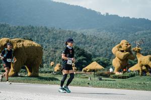 BIB: 
                            <button type="button" onclick="openModal(25920480)" class="btn btn-primary btn-sm float-right btn-popup" data-toggle="modal" data-target=".modal-high-quality">
                        <i class="fas fa-shopping-cart"></i> Add to Cart
                    </button>
                                            <button type="button" onclick="isThisMe(25920480, true)" class="btn btn-success btn-sm float-right btn-popup btn-isme hidden" data-toggle="tooltip" data-placement="bottom" title="นี่คือรูปของคุณใช่ไหม คลิกที่นี่เพื่อเอาเข้าอัลบั้ม">
                        <i class="fas fa-plus"></i> Add to album
                    </button>
                    <button type="button" onclick="isThisMe(25920480, false)" class="btn btn-warning btn-sm float-right btn-popup btn-isnotme hidden">
                        <i class="fas fa-ban"></i> Remove from album
                    </button>