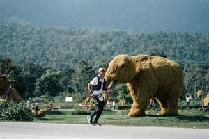 BIB: 
                            <button type="button" onclick="openModal(25998415)" class="btn btn-primary btn-sm float-right btn-popup" data-toggle="modal" data-target=".modal-high-quality">
                        <i class="fas fa-shopping-cart"></i> Add to Cart
                    </button>
                                            <button type="button" onclick="isThisMe(25998415, true)" class="btn btn-success btn-sm float-right btn-popup btn-isme hidden" data-toggle="tooltip" data-placement="bottom" title="นี่คือรูปของคุณใช่ไหม คลิกที่นี่เพื่อเอาเข้าอัลบั้ม">
                        <i class="fas fa-plus"></i> Add to album
                    </button>
                    <button type="button" onclick="isThisMe(25998415, false)" class="btn btn-warning btn-sm float-right btn-popup btn-isnotme hidden">
                        <i class="fas fa-ban"></i> Remove from album
                    </button>