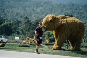 BIB: 
                            <button type="button" onclick="openModal(25961586)" class="btn btn-primary btn-sm float-right btn-popup" data-toggle="modal" data-target=".modal-high-quality">
                        <i class="fas fa-shopping-cart"></i> Add to Cart
                    </button>
                                            <button type="button" onclick="isThisMe(25961586, true)" class="btn btn-success btn-sm float-right btn-popup btn-isme hidden" data-toggle="tooltip" data-placement="bottom" title="นี่คือรูปของคุณใช่ไหม คลิกที่นี่เพื่อเอาเข้าอัลบั้ม">
                        <i class="fas fa-plus"></i> Add to album
                    </button>
                    <button type="button" onclick="isThisMe(25961586, false)" class="btn btn-warning btn-sm float-right btn-popup btn-isnotme hidden">
                        <i class="fas fa-ban"></i> Remove from album
                    </button>