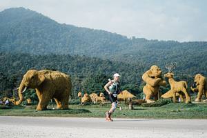 BIB: 
                            <button type="button" onclick="openModal(25871653)" class="btn btn-primary btn-sm float-right btn-popup" data-toggle="modal" data-target=".modal-high-quality">
                        <i class="fas fa-shopping-cart"></i> Add to Cart
                    </button>
                                            <button type="button" onclick="isThisMe(25871653, true)" class="btn btn-success btn-sm float-right btn-popup btn-isme hidden" data-toggle="tooltip" data-placement="bottom" title="นี่คือรูปของคุณใช่ไหม คลิกที่นี่เพื่อเอาเข้าอัลบั้ม">
                        <i class="fas fa-plus"></i> Add to album
                    </button>
                    <button type="button" onclick="isThisMe(25871653, false)" class="btn btn-warning btn-sm float-right btn-popup btn-isnotme hidden">
                        <i class="fas fa-ban"></i> Remove from album
                    </button>