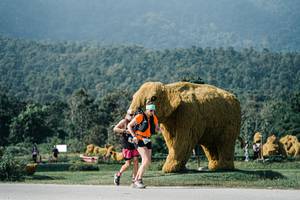 BIB: 
                            <button type="button" onclick="openModal(25888484)" class="btn btn-primary btn-sm float-right btn-popup" data-toggle="modal" data-target=".modal-high-quality">
                        <i class="fas fa-shopping-cart"></i> Add to Cart
                    </button>
                                            <button type="button" onclick="isThisMe(25888484, true)" class="btn btn-success btn-sm float-right btn-popup btn-isme hidden" data-toggle="tooltip" data-placement="bottom" title="นี่คือรูปของคุณใช่ไหม คลิกที่นี่เพื่อเอาเข้าอัลบั้ม">
                        <i class="fas fa-plus"></i> Add to album
                    </button>
                    <button type="button" onclick="isThisMe(25888484, false)" class="btn btn-warning btn-sm float-right btn-popup btn-isnotme hidden">
                        <i class="fas fa-ban"></i> Remove from album
                    </button>