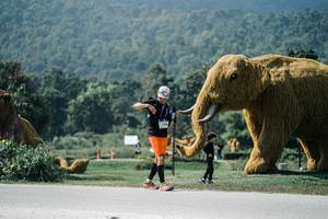 BIB: 
                            <button type="button" onclick="openModal(25952746)" class="btn btn-primary btn-sm float-right btn-popup" data-toggle="modal" data-target=".modal-high-quality">
                        <i class="fas fa-shopping-cart"></i> Add to Cart
                    </button>
                                            <button type="button" onclick="isThisMe(25952746, true)" class="btn btn-success btn-sm float-right btn-popup btn-isme hidden" data-toggle="tooltip" data-placement="bottom" title="นี่คือรูปของคุณใช่ไหม คลิกที่นี่เพื่อเอาเข้าอัลบั้ม">
                        <i class="fas fa-plus"></i> Add to album
                    </button>
                    <button type="button" onclick="isThisMe(25952746, false)" class="btn btn-warning btn-sm float-right btn-popup btn-isnotme hidden">
                        <i class="fas fa-ban"></i> Remove from album
                    </button>