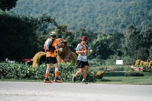 BIB: 
                            <button type="button" onclick="openModal(25900452)" class="btn btn-primary btn-sm float-right btn-popup" data-toggle="modal" data-target=".modal-high-quality">
                        <i class="fas fa-shopping-cart"></i> Add to Cart
                    </button>
                                            <button type="button" onclick="isThisMe(25900452, true)" class="btn btn-success btn-sm float-right btn-popup btn-isme hidden" data-toggle="tooltip" data-placement="bottom" title="นี่คือรูปของคุณใช่ไหม คลิกที่นี่เพื่อเอาเข้าอัลบั้ม">
                        <i class="fas fa-plus"></i> Add to album
                    </button>
                    <button type="button" onclick="isThisMe(25900452, false)" class="btn btn-warning btn-sm float-right btn-popup btn-isnotme hidden">
                        <i class="fas fa-ban"></i> Remove from album
                    </button>