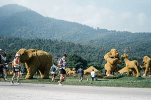 BIB: 
                            <button type="button" onclick="openModal(25884361)" class="btn btn-primary btn-sm float-right btn-popup" data-toggle="modal" data-target=".modal-high-quality">
                        <i class="fas fa-shopping-cart"></i> Add to Cart
                    </button>
                                            <button type="button" onclick="isThisMe(25884361, true)" class="btn btn-success btn-sm float-right btn-popup btn-isme hidden" data-toggle="tooltip" data-placement="bottom" title="นี่คือรูปของคุณใช่ไหม คลิกที่นี่เพื่อเอาเข้าอัลบั้ม">
                        <i class="fas fa-plus"></i> Add to album
                    </button>
                    <button type="button" onclick="isThisMe(25884361, false)" class="btn btn-warning btn-sm float-right btn-popup btn-isnotme hidden">
                        <i class="fas fa-ban"></i> Remove from album
                    </button>