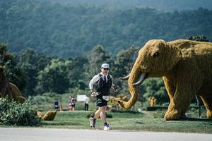 BIB: 
                            <button type="button" onclick="openModal(25963936)" class="btn btn-primary btn-sm float-right btn-popup" data-toggle="modal" data-target=".modal-high-quality">
                        <i class="fas fa-shopping-cart"></i> Add to Cart
                    </button>
                                            <button type="button" onclick="isThisMe(25963936, true)" class="btn btn-success btn-sm float-right btn-popup btn-isme hidden" data-toggle="tooltip" data-placement="bottom" title="นี่คือรูปของคุณใช่ไหม คลิกที่นี่เพื่อเอาเข้าอัลบั้ม">
                        <i class="fas fa-plus"></i> Add to album
                    </button>
                    <button type="button" onclick="isThisMe(25963936, false)" class="btn btn-warning btn-sm float-right btn-popup btn-isnotme hidden">
                        <i class="fas fa-ban"></i> Remove from album
                    </button>