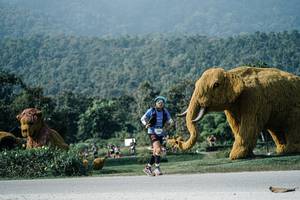 BIB: 
                            <button type="button" onclick="openModal(25892332)" class="btn btn-primary btn-sm float-right btn-popup" data-toggle="modal" data-target=".modal-high-quality">
                        <i class="fas fa-shopping-cart"></i> Add to Cart
                    </button>
                                            <button type="button" onclick="isThisMe(25892332, true)" class="btn btn-success btn-sm float-right btn-popup btn-isme hidden" data-toggle="tooltip" data-placement="bottom" title="นี่คือรูปของคุณใช่ไหม คลิกที่นี่เพื่อเอาเข้าอัลบั้ม">
                        <i class="fas fa-plus"></i> Add to album
                    </button>
                    <button type="button" onclick="isThisMe(25892332, false)" class="btn btn-warning btn-sm float-right btn-popup btn-isnotme hidden">
                        <i class="fas fa-ban"></i> Remove from album
                    </button>