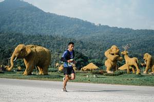 BIB: 
                            <button type="button" onclick="openModal(25870945)" class="btn btn-primary btn-sm float-right btn-popup" data-toggle="modal" data-target=".modal-high-quality">
                        <i class="fas fa-shopping-cart"></i> Add to Cart
                    </button>
                                            <button type="button" onclick="isThisMe(25870945, true)" class="btn btn-success btn-sm float-right btn-popup btn-isme hidden" data-toggle="tooltip" data-placement="bottom" title="นี่คือรูปของคุณใช่ไหม คลิกที่นี่เพื่อเอาเข้าอัลบั้ม">
                        <i class="fas fa-plus"></i> Add to album
                    </button>
                    <button type="button" onclick="isThisMe(25870945, false)" class="btn btn-warning btn-sm float-right btn-popup btn-isnotme hidden">
                        <i class="fas fa-ban"></i> Remove from album
                    </button>