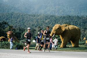 BIB: 
                            <button type="button" onclick="openModal(25873876)" class="btn btn-primary btn-sm float-right btn-popup" data-toggle="modal" data-target=".modal-high-quality">
                        <i class="fas fa-shopping-cart"></i> Add to Cart
                    </button>
                                            <button type="button" onclick="isThisMe(25873876, true)" class="btn btn-success btn-sm float-right btn-popup btn-isme hidden" data-toggle="tooltip" data-placement="bottom" title="นี่คือรูปของคุณใช่ไหม คลิกที่นี่เพื่อเอาเข้าอัลบั้ม">
                        <i class="fas fa-plus"></i> Add to album
                    </button>
                    <button type="button" onclick="isThisMe(25873876, false)" class="btn btn-warning btn-sm float-right btn-popup btn-isnotme hidden">
                        <i class="fas fa-ban"></i> Remove from album
                    </button>