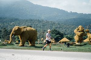 BIB: 
                            <button type="button" onclick="openModal(25928864)" class="btn btn-primary btn-sm float-right btn-popup" data-toggle="modal" data-target=".modal-high-quality">
                        <i class="fas fa-shopping-cart"></i> Add to Cart
                    </button>
                                            <button type="button" onclick="isThisMe(25928864, true)" class="btn btn-success btn-sm float-right btn-popup btn-isme hidden" data-toggle="tooltip" data-placement="bottom" title="นี่คือรูปของคุณใช่ไหม คลิกที่นี่เพื่อเอาเข้าอัลบั้ม">
                        <i class="fas fa-plus"></i> Add to album
                    </button>
                    <button type="button" onclick="isThisMe(25928864, false)" class="btn btn-warning btn-sm float-right btn-popup btn-isnotme hidden">
                        <i class="fas fa-ban"></i> Remove from album
                    </button>