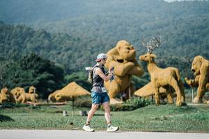 BIB: 
                            <button type="button" onclick="openModal(25900014)" class="btn btn-primary btn-sm float-right btn-popup" data-toggle="modal" data-target=".modal-high-quality">
                        <i class="fas fa-shopping-cart"></i> Add to Cart
                    </button>
                                            <button type="button" onclick="isThisMe(25900014, true)" class="btn btn-success btn-sm float-right btn-popup btn-isme hidden" data-toggle="tooltip" data-placement="bottom" title="นี่คือรูปของคุณใช่ไหม คลิกที่นี่เพื่อเอาเข้าอัลบั้ม">
                        <i class="fas fa-plus"></i> Add to album
                    </button>
                    <button type="button" onclick="isThisMe(25900014, false)" class="btn btn-warning btn-sm float-right btn-popup btn-isnotme hidden">
                        <i class="fas fa-ban"></i> Remove from album
                    </button>